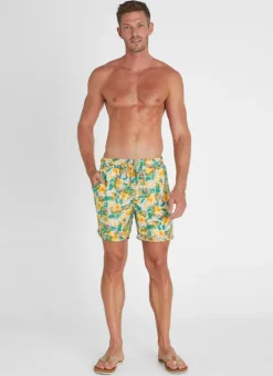 Bottoms|Bottoms^Aqua Blu Dahlia Taylor Shorts