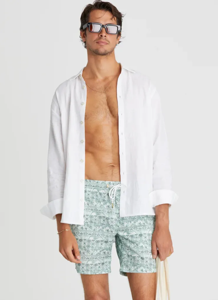 Swim Shorts^Aqua Blu Boardshorts Evergreen